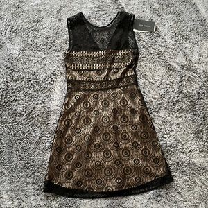 NWT Zara Lace Dress in Black and Dusty Beige